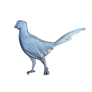 Fiona The Pheasant Lead Motif